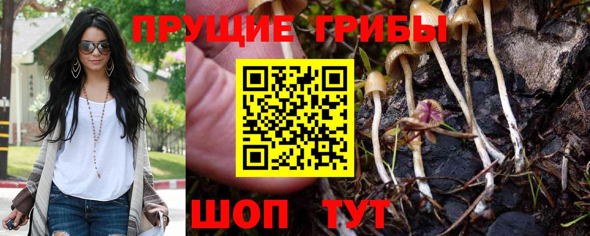 Галлюциногенные грибы Magic Shrooms  купить наркотики цена  Заинск  Вход с VPN 