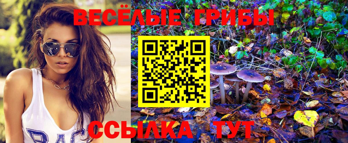 Псилоцибиновые грибы Psilocybe Заинск